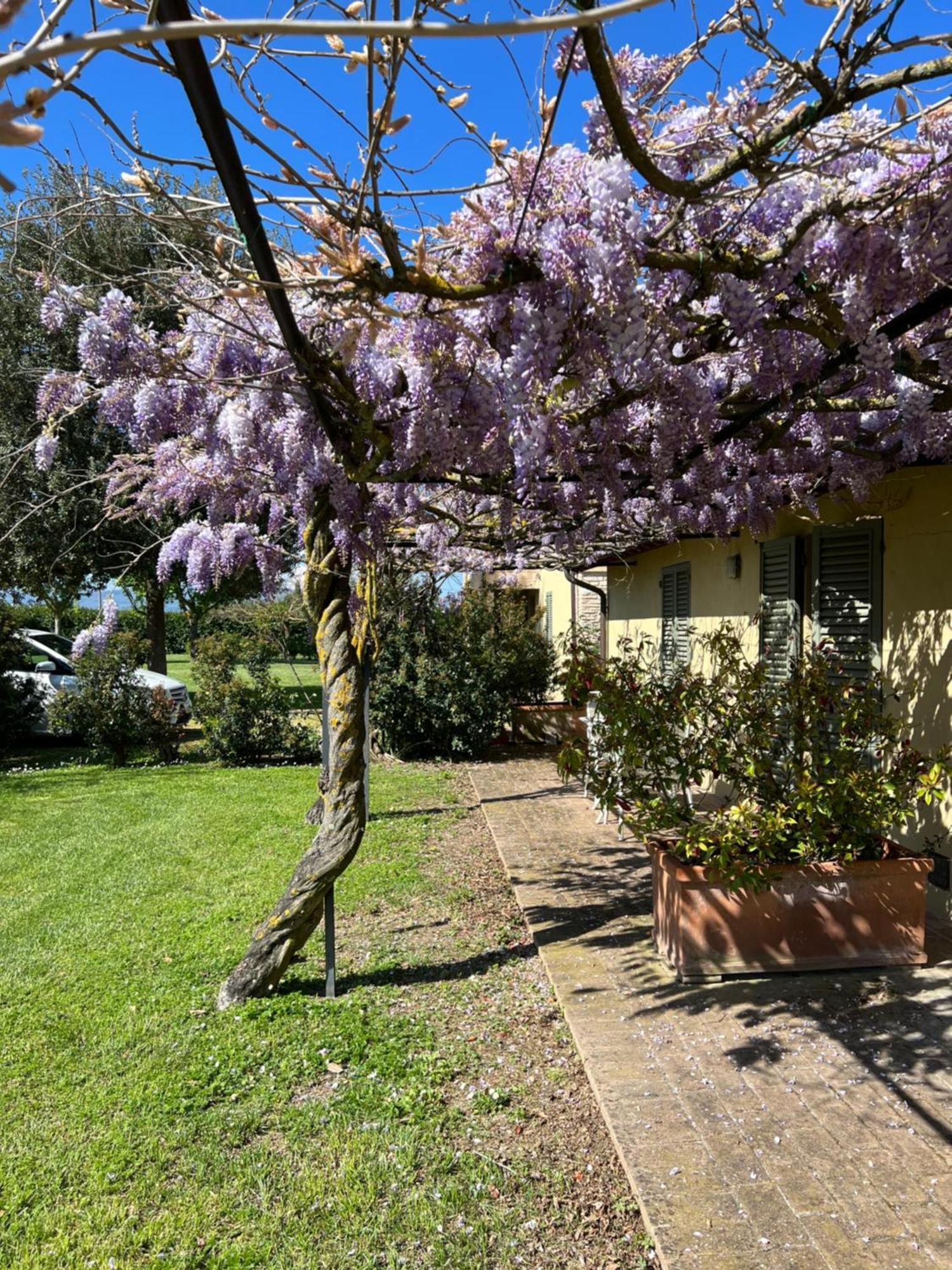 Residenza Isabella Guest House Spello Exterior photo