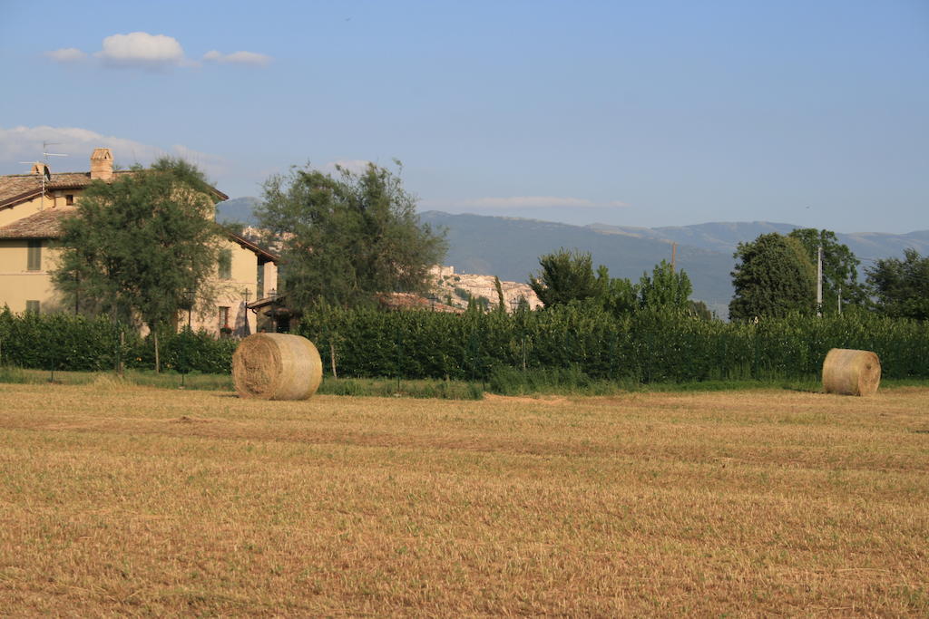 Residenza Isabella Guest House Spello Exterior photo